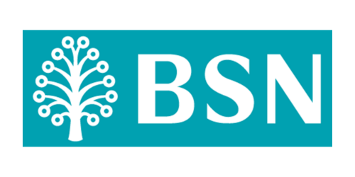 bank-bsn-logotipi